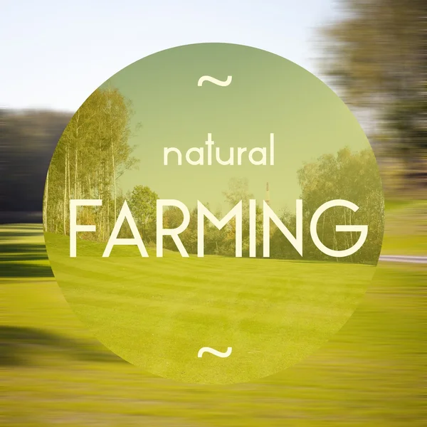 自然农业的生态友好的业务的海报插图 — 图库照片
