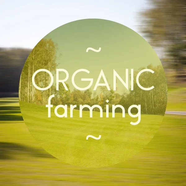 Organic farming poster illustration of eco-friendly products — Stock Photo, Image