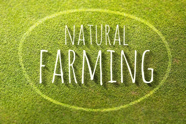 Natuurlijke landbouw op groen gras poster illustratie van boerderij verse — Stockfoto