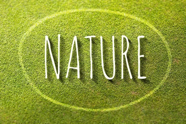 Nature poster illustration of eco-friendly life — Stock Photo, Image