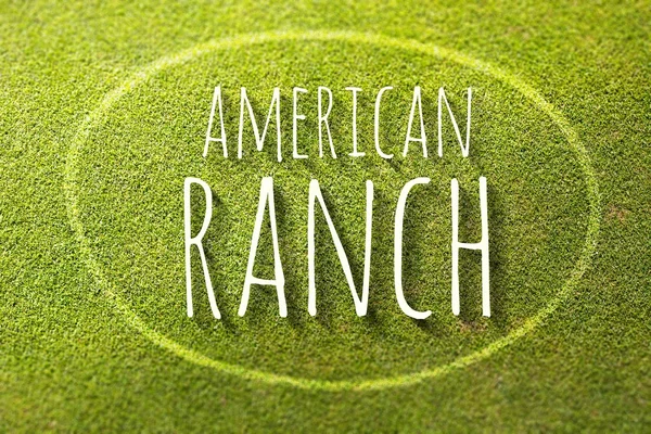 American ranch on green grass poster, illustration farming — Stock Photo, Image