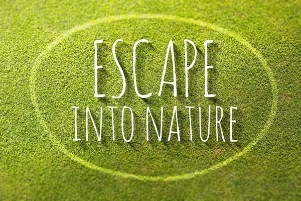 Évadez-vous dans la nature sur l'herbe verte affiche illustration de la vie naturelle — Photo