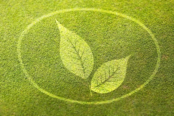 Verse bladeren op groen gras poster illustratie van gezonde voeding — Stockfoto