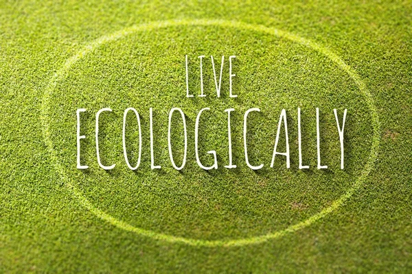 Live ecologically poster illustration of eco-friendly life — Stock Photo, Image