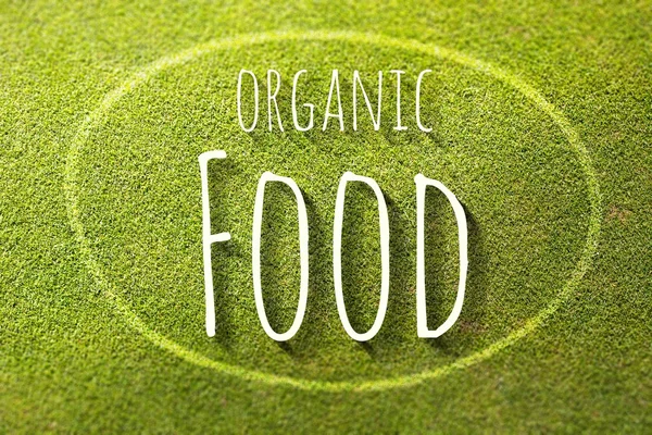 Organic food on green grass poster illustration of healthy eating — Stock Photo, Image