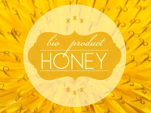 Concetto di miele bio prodotto con macro fiore — Foto Stock