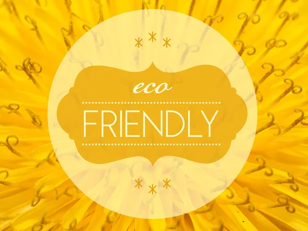 Eco friendly with flower macro background — Stock Photo, Image