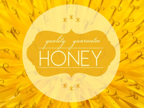 Quality guarantee honey with flower macro background — Stock Photo, Image