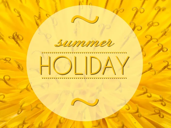 Summer holiday with flower macro background — Stock Photo, Image