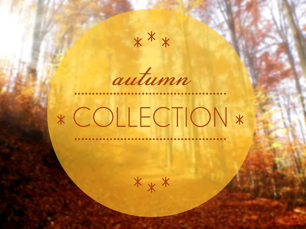 Autumn collection conceptual creative illustration — Stock Photo, Image