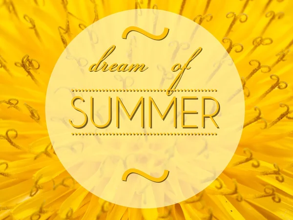 Dream of summer with flower macro background — Stock Photo, Image