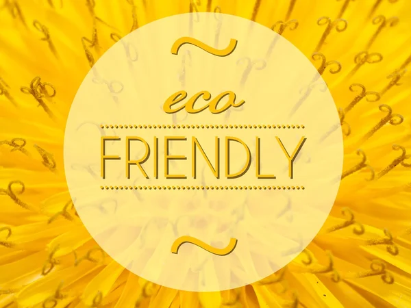 Eco friendly with flower macro background — Stock Photo, Image