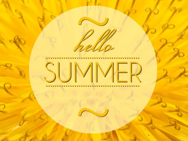 Hello summer with flower macro background — Stock Photo, Image