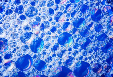 hücre yapısı mavi arka plan