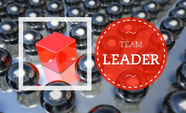 Teamleiter Business, einzigartiges Konzept — Stockfoto
