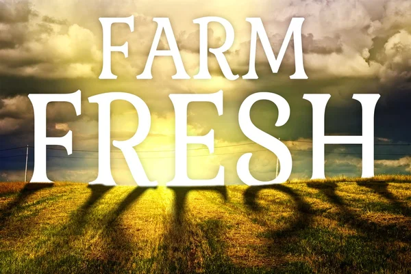 Farm fresh concept agriculture field landscape — Stock Photo, Image