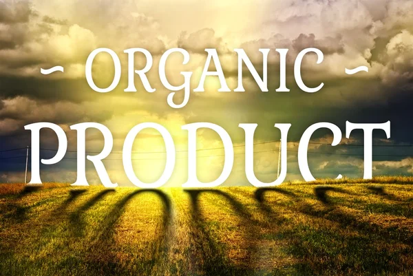 Conceito de produto orgânico paisagem campo fazenda — Fotografia de Stock