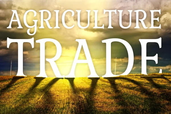 कृषि क्षेत्र परिदृश्य के साथ कृषि व्यापार अवधारणा — स्टॉक फ़ोटो, इमेज