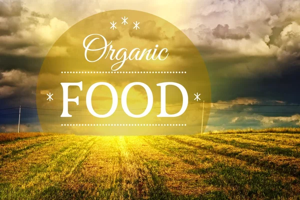 Organic food concept farm field landscape — Stock Photo, Image