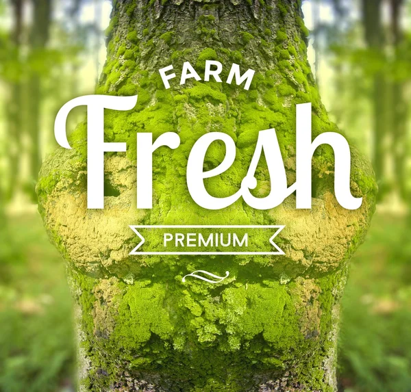 Farm Fresh Premium slogan, ecology concept — Stock Photo, Image