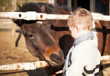 mini hayvanat bahçesinde Pony besleme çocuk