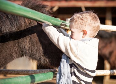 çocuk ve midilli mini Hayvanat Bahçesi