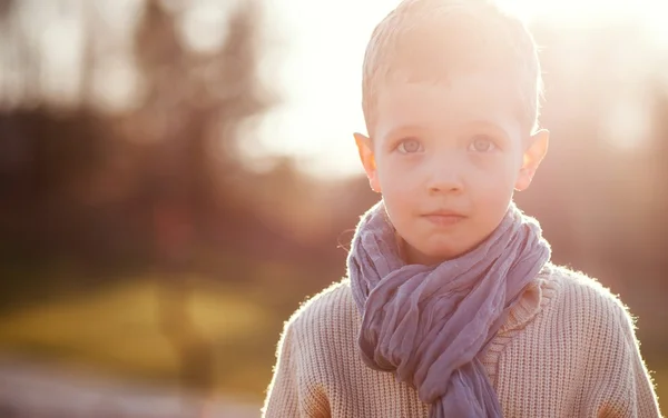 Little boy in sweater and scarf — Stock Photo, Image