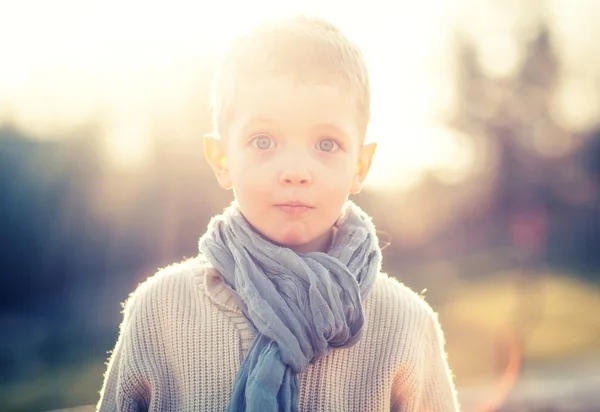 Little boy in sweater and scarf — Stock Photo, Image