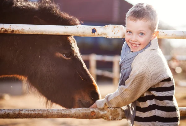 Kind voeding pony in mini dierentuin — Stockfoto
