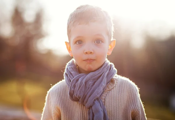 Gyermek-portré kisfiú pulóver és sál — Stock Fotó
