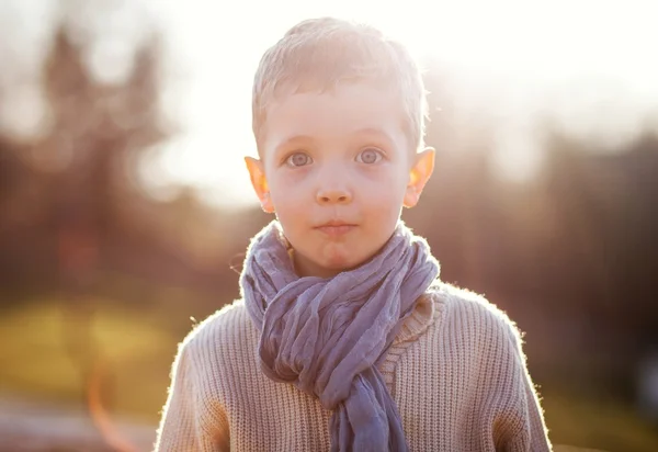 Niño retrato niño en suéter y bufanda — Foto de Stock