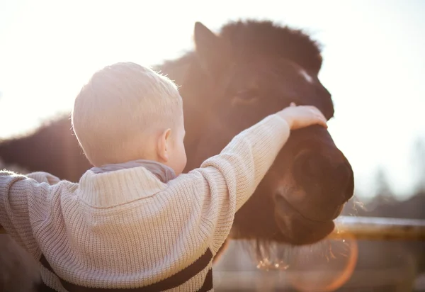 Anak membelai kuda poni, cinta dan kasih sayang — Stok Foto