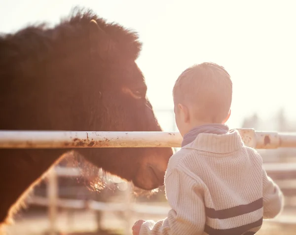 Enfant caressant poney, amour et affection — Photo