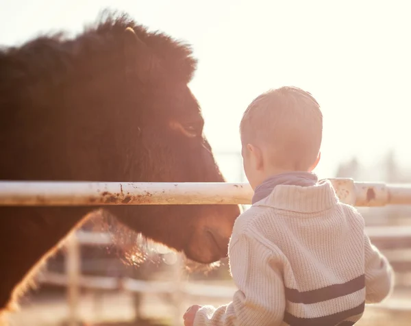 Child stroking pony, love and affection — Stock Photo, Image