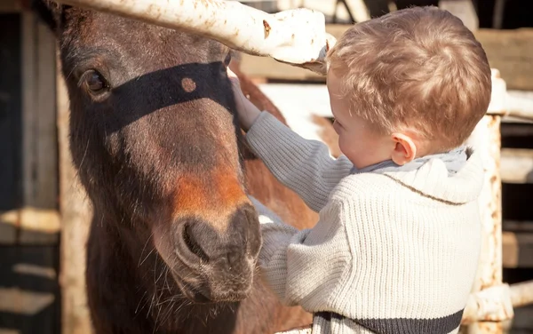 子供とミニ動物園のポニー — ストック写真