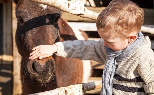 Kind en pony in de mini dierentuin — Stockfoto