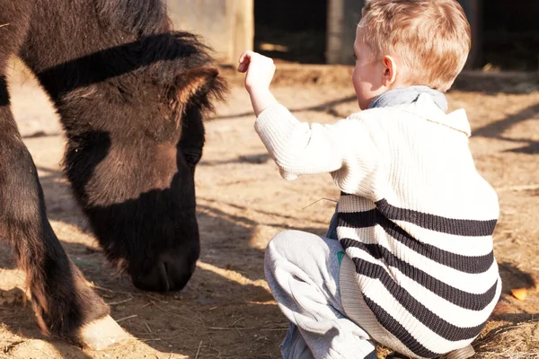 Dítě a pony v mini zoo — Stock fotografie