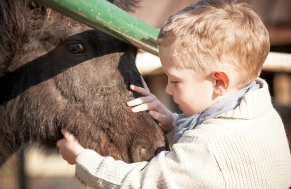 Kind en pony in de mini dierentuin — Stockfoto