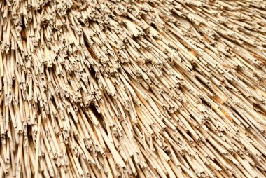 thatched çatı kenarı hasır desen