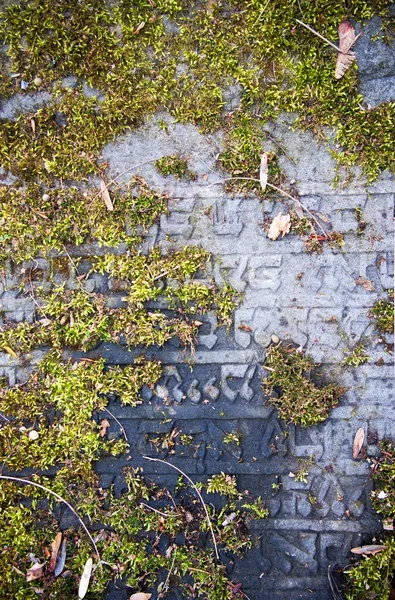Mezar taşı mezar taşı üzerinde yazma Yahudi — Stok fotoğraf