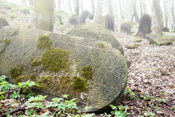 Starý opuštěný židovský hřbitov v lese — Stock fotografie