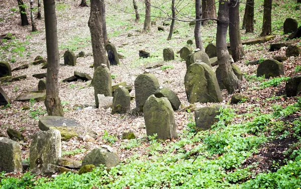 Starý opuštěný židovský hřbitov v lese — Stock fotografie