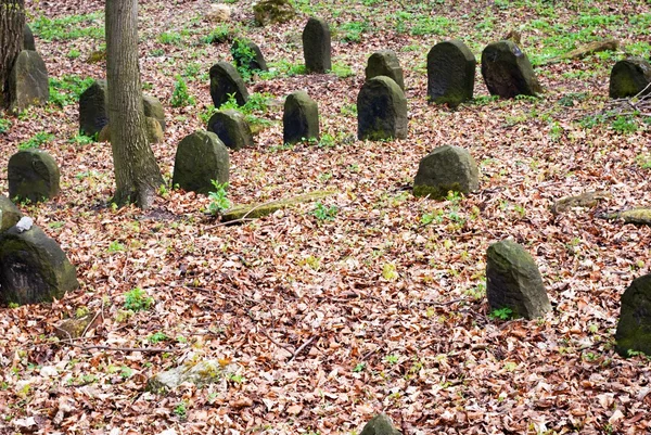 Vanha hylätty juutalainen hautausmaa metsässä — kuvapankkivalokuva