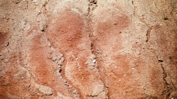 Terra seca rachada. Terreno sem água — Fotografia de Stock