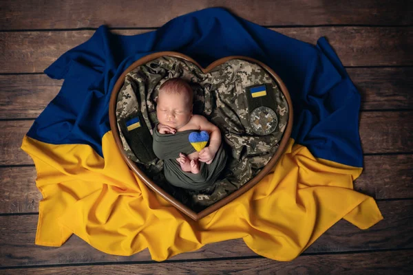 Söt Vacker Liten Nyfödd Patriot Barn Ligger Hjärtkorg Med Flaggan Royaltyfria Stockfoton