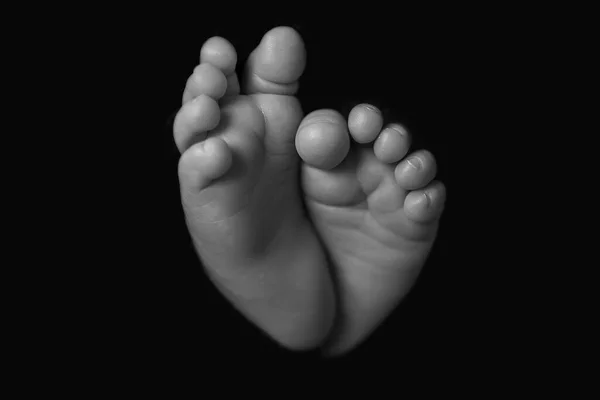 Tender, small legs of a newborn baby on a monochrome background. Black and white photo close up — Fotografia de Stock