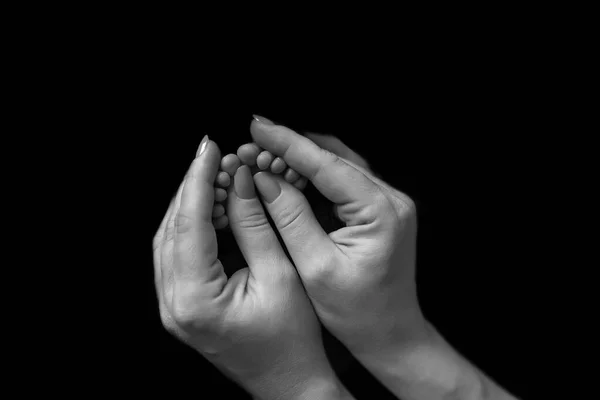 tender little legs of a newborn baby holds in the hands of mom. little daughters fingers. Family black and white frame