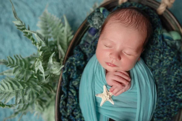 little cute boy sleeping in a boat, a basket with a starfish in his hands on a blue background