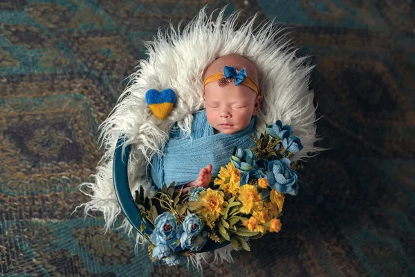 Little newborn girl lying and sleeping in a basket with a toy blue-yellow heart. Ukrainian and patriotic child Royaltyfria Stockbilder