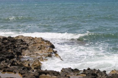 Burası Coll den Rebassa Sahili. Mallorca Adası. İspanya